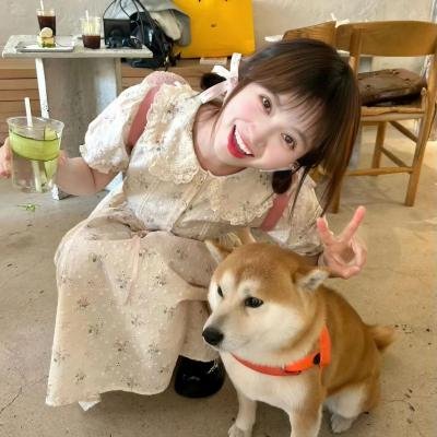 蝴蝶梦